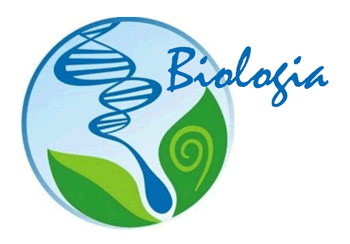 Wyniki Konkursu Biologicznego o Laur Dyrektora V LO